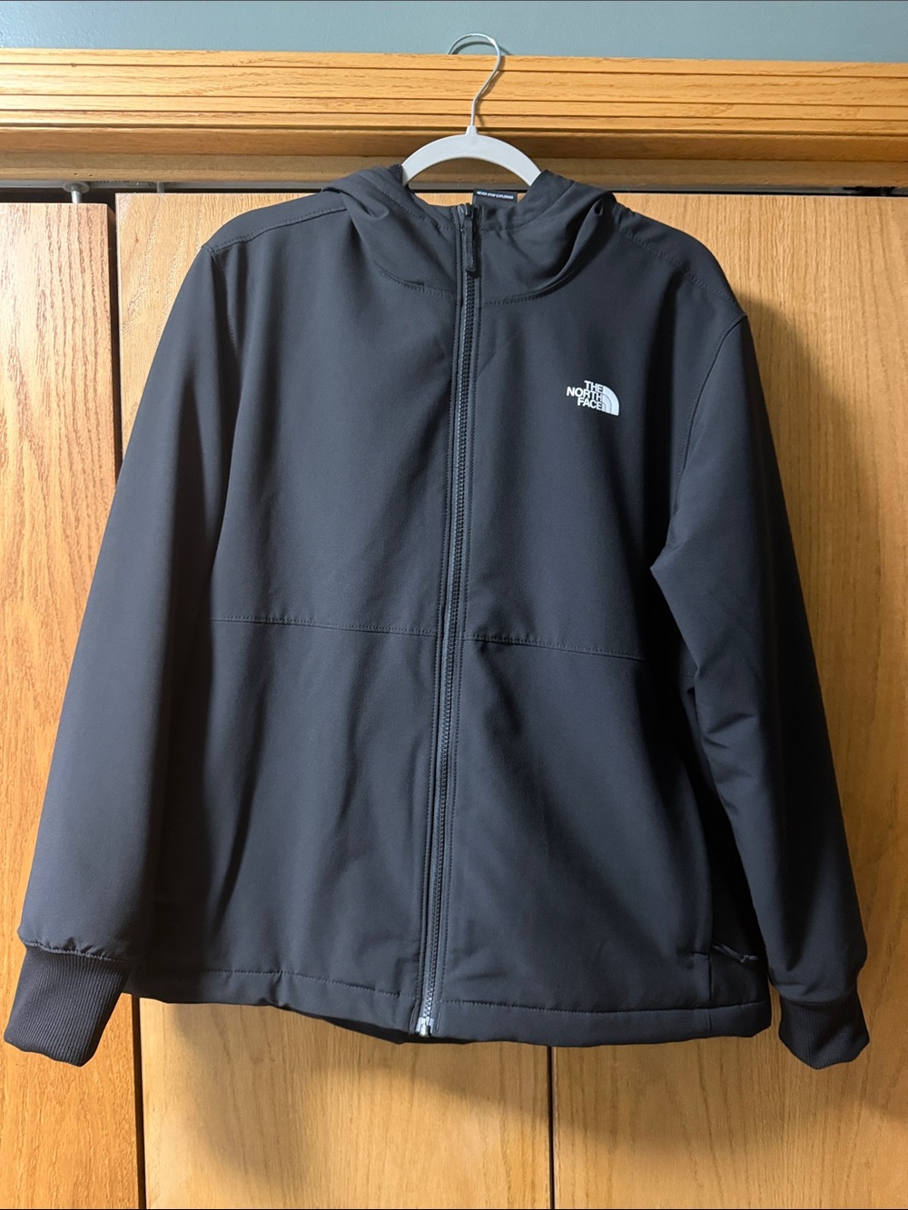 Women’s North Face Shelbe Raschel Jacket